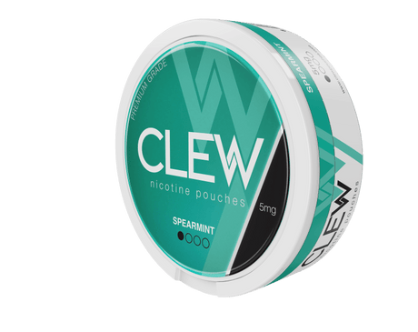 CLEW NICOTINE POUCHES 20 PACK - SPEARMINT